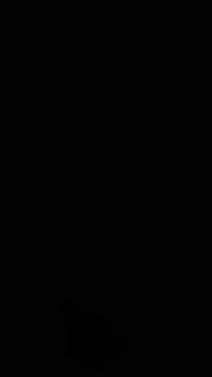 A3d899df9977048e593d1bf9006b780d5J.jpg