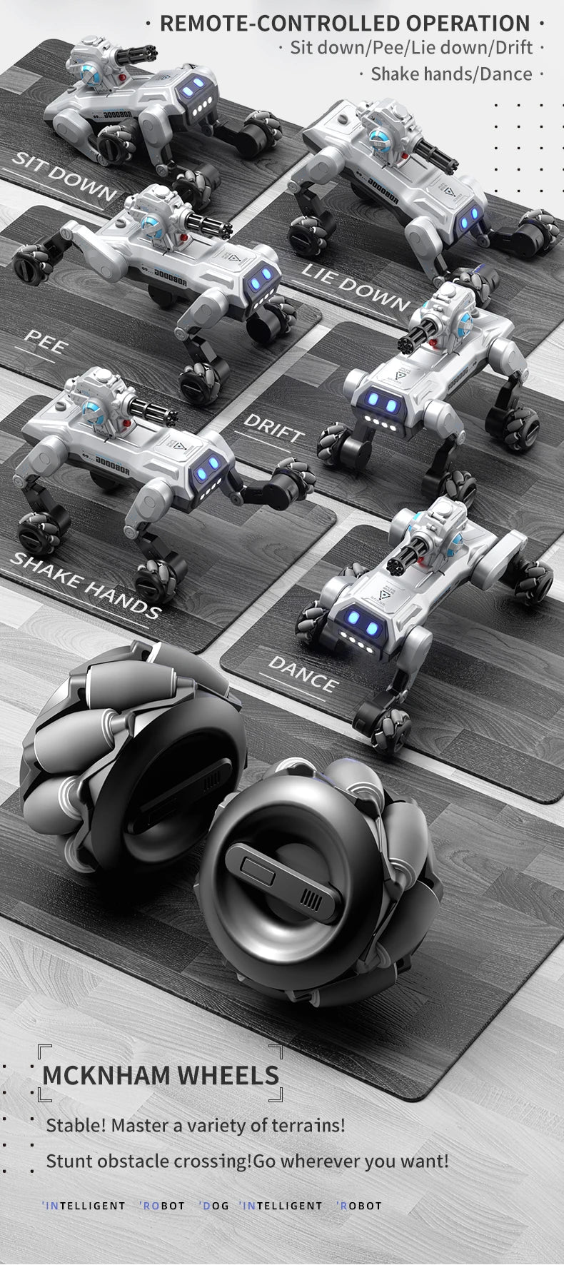 2.4G RC Robot Dog – Dancing, Singing Smart Puppy Toy for Kids