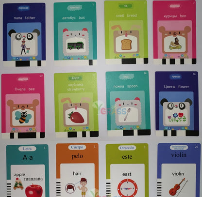 Talking Flash Cards for Kids – Audio Learning Toy (Multi-Language)